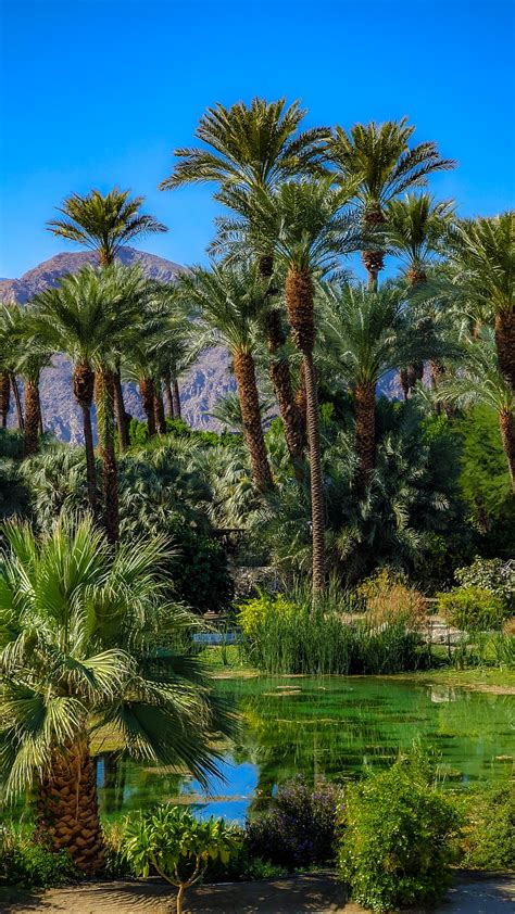 Hidden Gems in Greater Palm Springs for Your Photographic Adventure ...