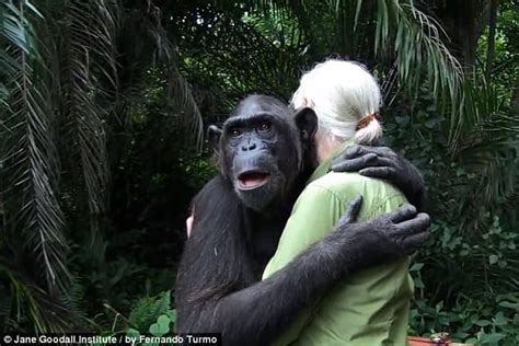 40 Heart Touching Animals and Humans Hug Pictures