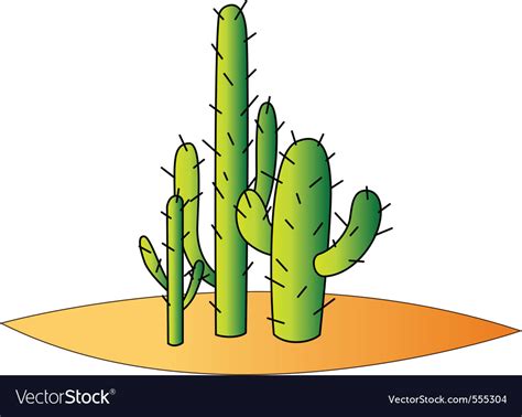 Cactus desert Royalty Free Vector Image - VectorStock