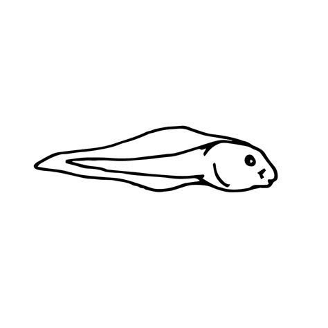 Tadpole Clip Art - ClipArt Best