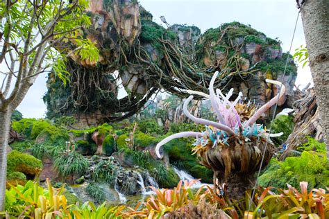 Pandora World of Avatar Tips at Animal Kingdom