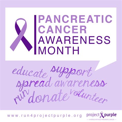 November is pancreatic cancer awareness month!