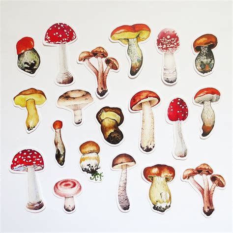 Mushroom Stickers Pack Vintage Fungi Ephemera Sticker Set