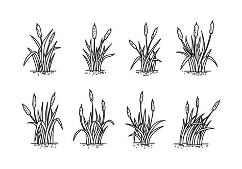 Cattails Hand Drawing Vector 120646 Vector Art at Vecteezy