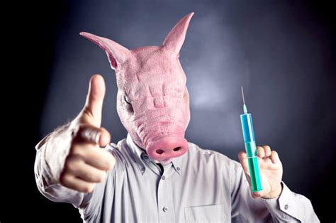 First ever human-pig hybrid animal created in lab for organ harvesting ...