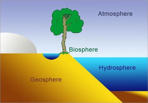 Biosphere Diagram For Kids