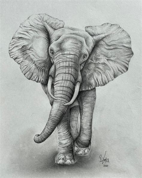 Elephant Pencil Drawing Elephant Wall Art Elephant Home - Etsy UK ...