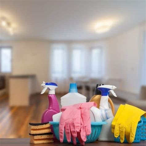 21 Of Our Recommended Housekeepers And House Cleaners Near Me