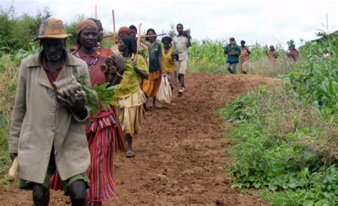 Ethiopia: Advancing Farming Systems Improve Food, Nutrition, and Income ...