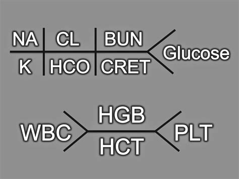 Lab Diagrams Medical