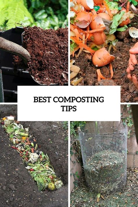 #Gardening : Good Composting Tips - My Favorite Things