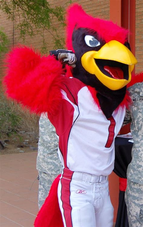 Big Red (Cardinals mascot) | National football league, Football league ...