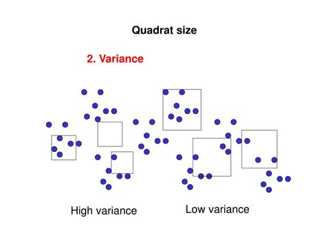 PPT - Quadrat sampling Quadrat shape Quadrat size Lab PowerPoint ...