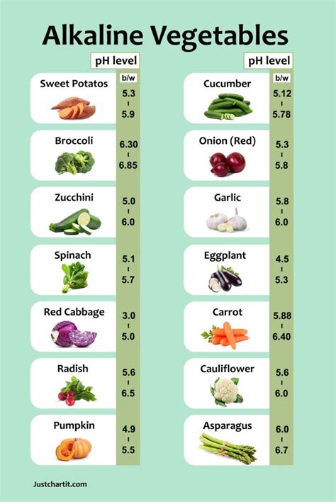 Alkaline Acidic Food Chart Printable