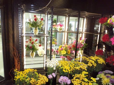 Floral Display Cooler Lighting, Flower Shops are ideal for LEDs