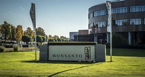 Monsanto Lawsuit: What the $289 Million Verdict Means To You