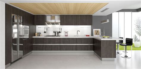 20 Prime Examples of Modern Kitchen Cabinets