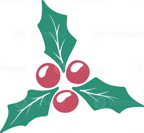 Christmas Holly leaves and berries 12497466 PNG