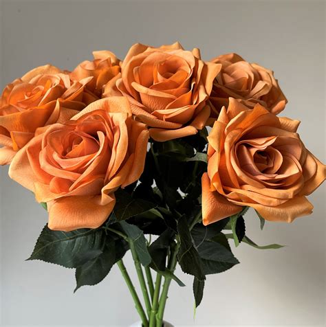 Burnt Orange Roses