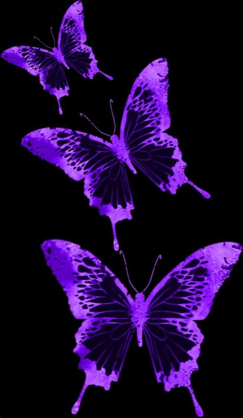 Purple Aesthetic Butterflies Wallpapers - Wallpaper Cave