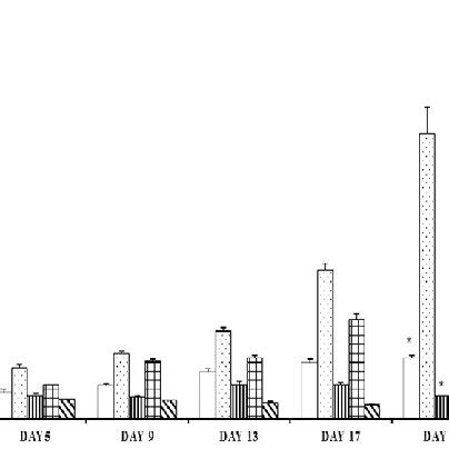 Tumor growth among different groups. Tumor growth for the experimental ...