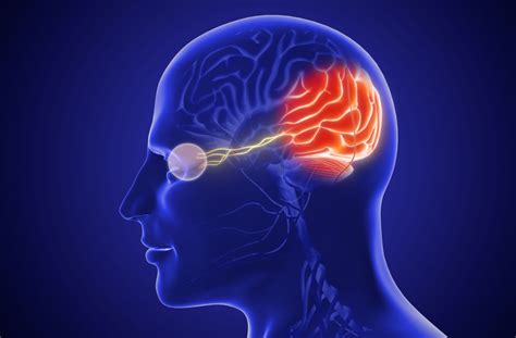 Cortical Visual Impairment (Cerebral Visual Impairment)