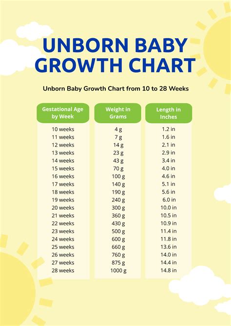 Free Unborn Baby Growth Chart Template - Edit Online & Download ...