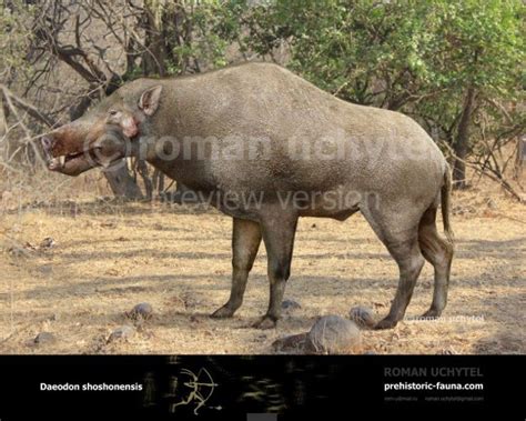 Daeodon | Prehistoric animals, Prehistoric, Moose art