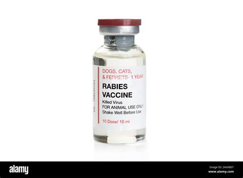 Rabies virus hi-res stock photography and images - Alamy