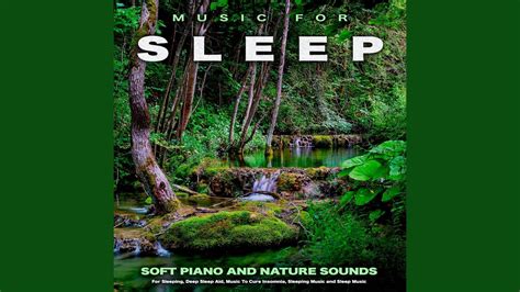 Deep Sleep Music with Nature Sounds - YouTube Music