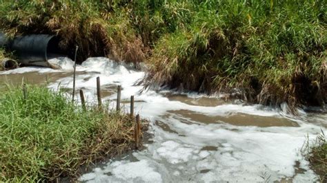 Pencemaran Sungai Citarum Akibat Limbah Pabrik di Majalaya - Kompasiana.com