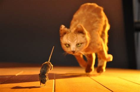 Parasites play a game of cat and mouse – Life on Earth – Medium