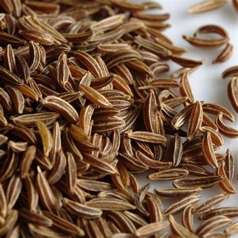 Caraway Seeds (Carum carvi)