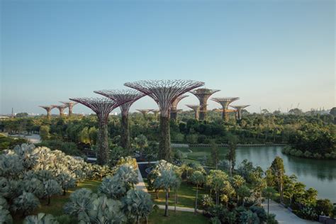 Singapore — Biophilic Cities