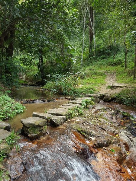 Baan Mae Kampong : A Tourist’s Dream Destination