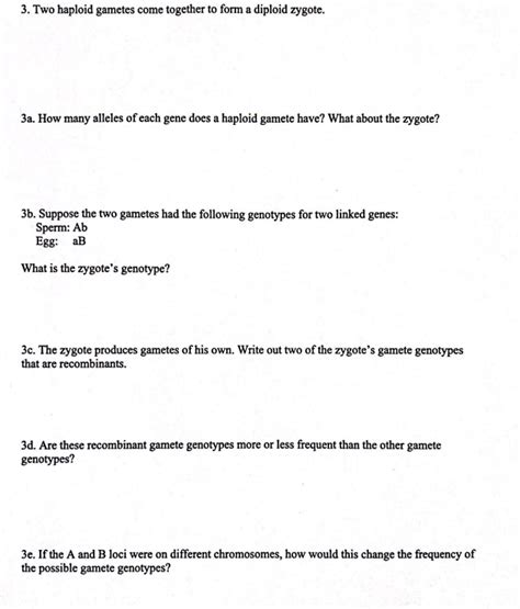 Solved 3. Two haploid gametes come together to form a | Chegg.com