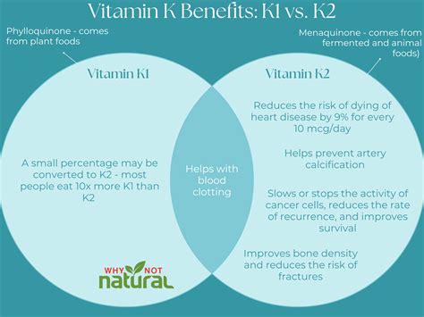 Vitamin K2 Benefits - Why Not Natural Blog – WhyNotNatural