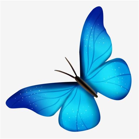 Beau Papillon Papillon Bleu Animal Volant Papillon PNG , Beau Papillon ...