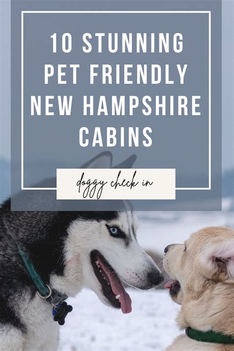 10 Stunning Pet Friendly New Hampshire Cabins | Dog friendly vacation ...