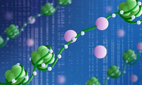 DNA methylation for precise gene expression regulation