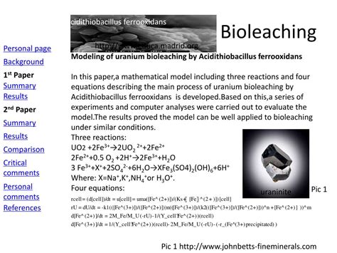 PPT - Bioleaching PowerPoint Presentation, free download - ID:2239029