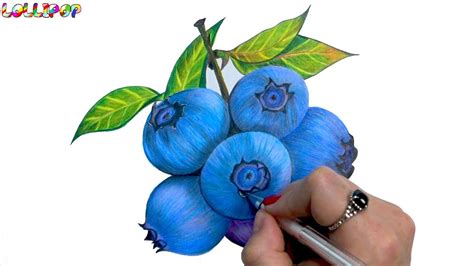 how i draw this Realistic blueberry drawing in colored pencil - YouTube