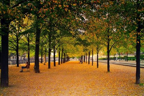 City Park Autumn Royalty Free Photo