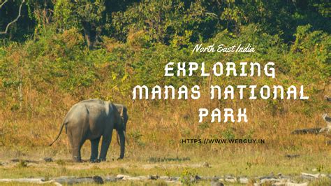 Year-end Drive To Manas National Park - Webguy Travel Tales