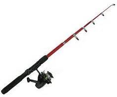 31 Best Fishing Rods For Beginners ideas | fishing rod, fish, beginners