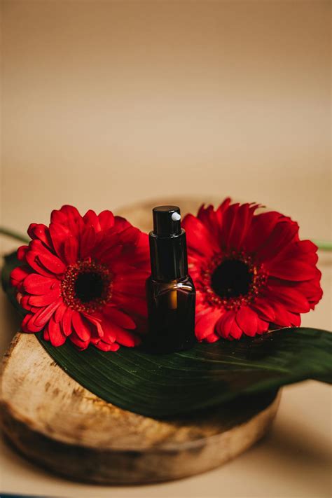 Spray Bottle Near Red Flowers · Free Stock Photo