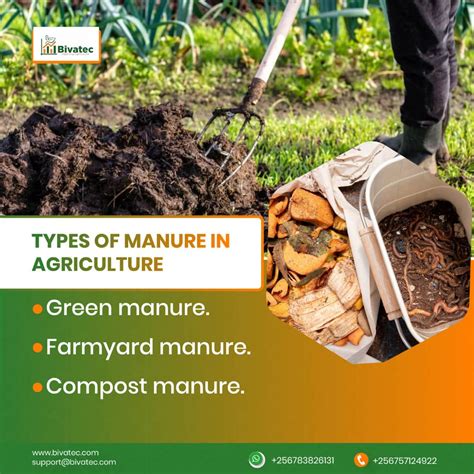 A Comprehensive Guide to Manure Types in Modern Farming