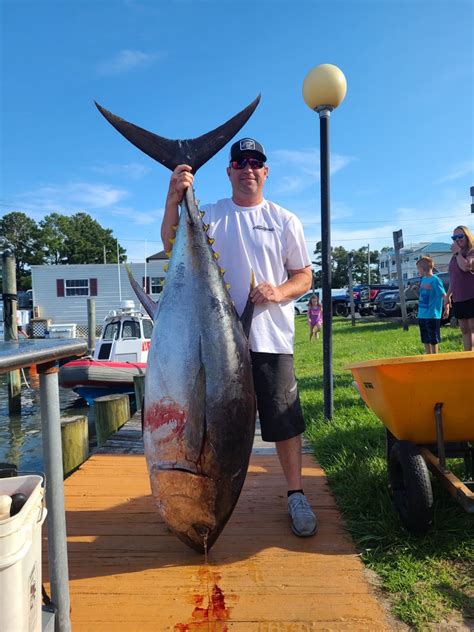 Biggest Tuna of the Season So Far | Ocean City MD Fishing