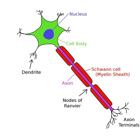 One of my favorite topics to research and to write about is how sleep ...