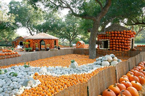 Autumn at the Arboretum | Dallas Arboretum and Botanical Garden